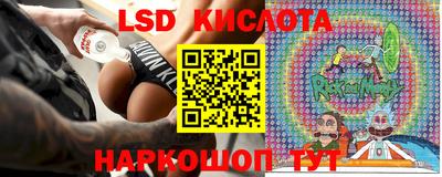 гашик Кингисепп