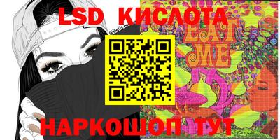 гашик Кингисепп