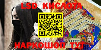 гашик Кингисепп