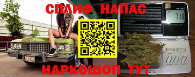 гашик Кингисепп