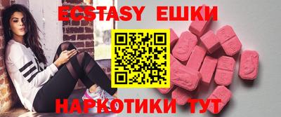 гашик Кингисепп